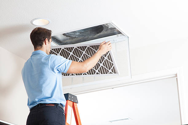 Best Local HVAC Companies  in Verona Walk, FL